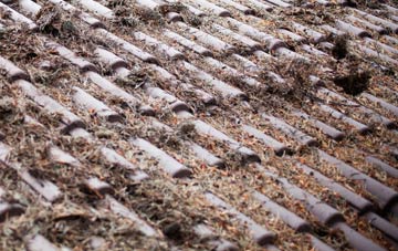 Morestead roof cleaning companies